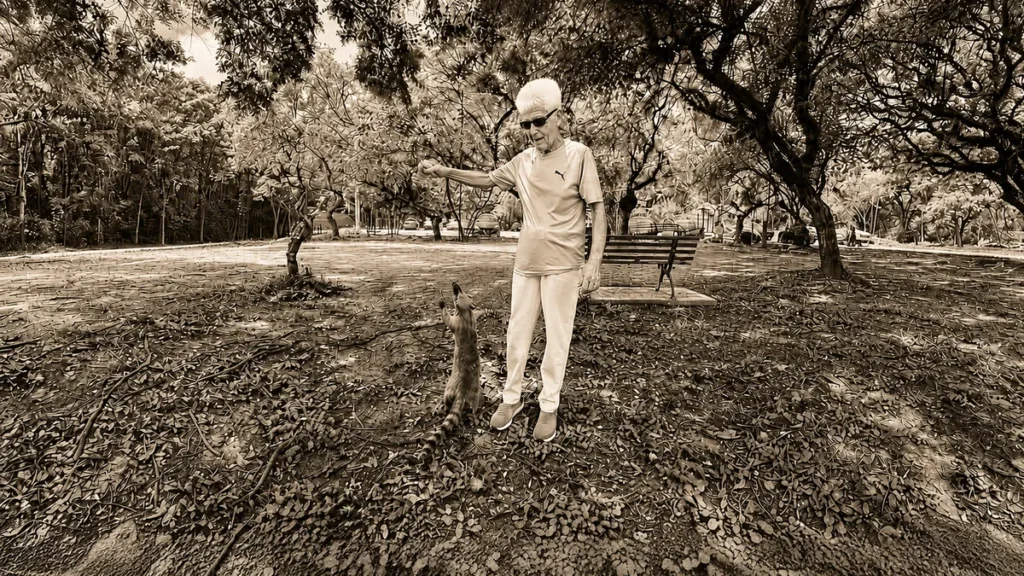 Seu Josué SJC Parque